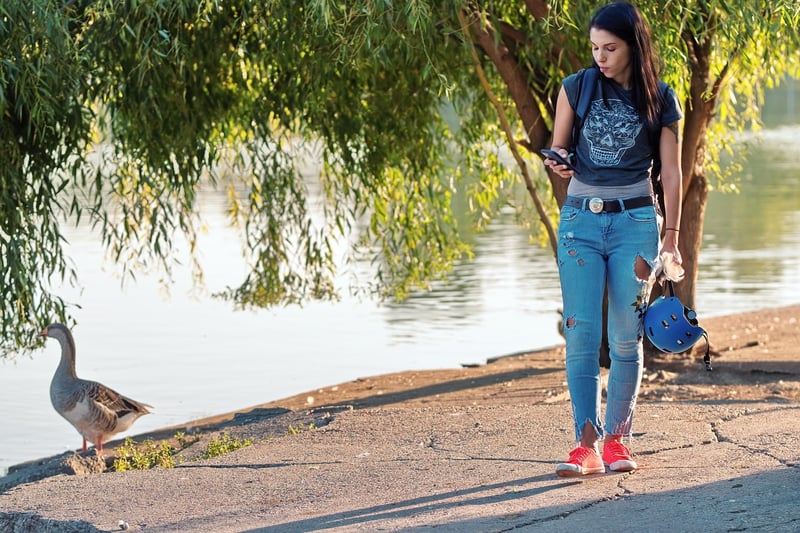 Lakeside Strolls