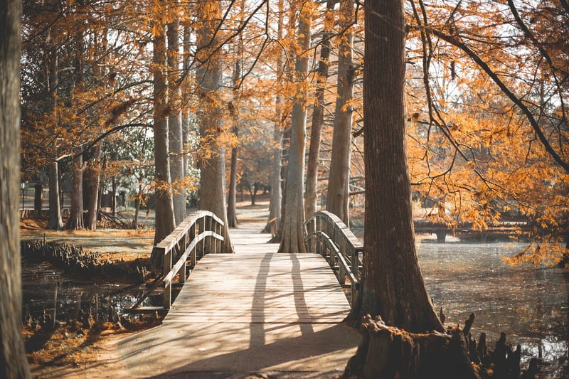Lakeside Stroll